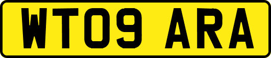 WT09ARA