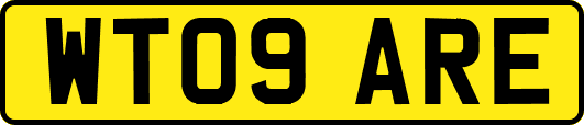 WT09ARE