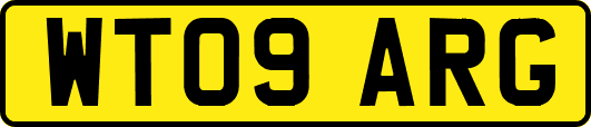 WT09ARG