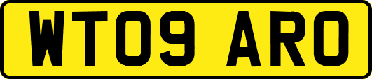 WT09ARO