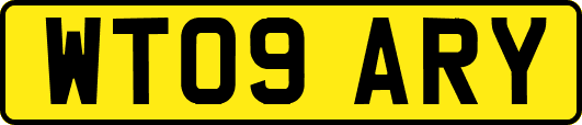WT09ARY