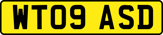 WT09ASD