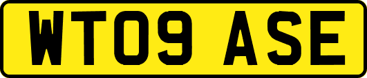 WT09ASE