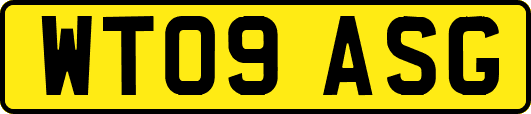 WT09ASG