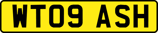 WT09ASH