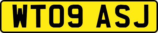 WT09ASJ