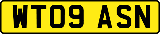 WT09ASN