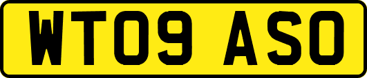 WT09ASO