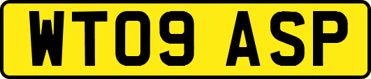 WT09ASP
