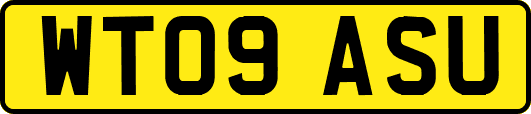 WT09ASU