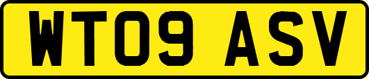 WT09ASV