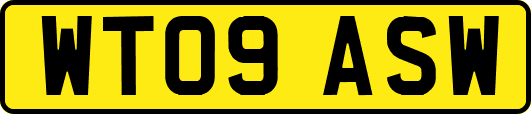 WT09ASW