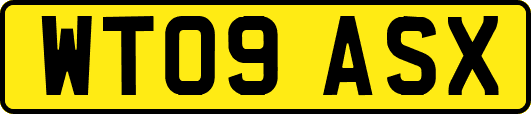 WT09ASX