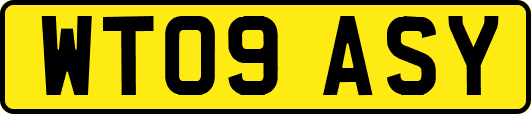 WT09ASY