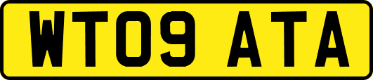 WT09ATA