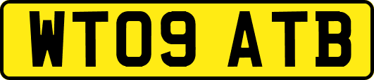 WT09ATB