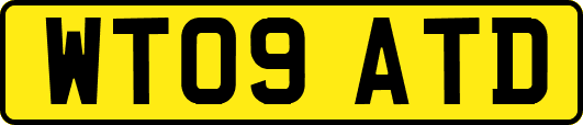 WT09ATD