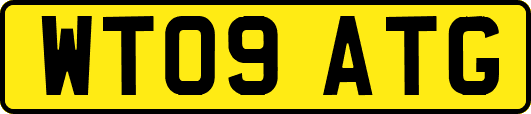 WT09ATG