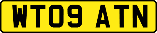 WT09ATN