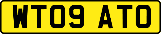WT09ATO