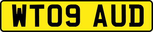 WT09AUD