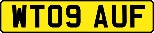WT09AUF