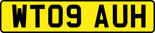 WT09AUH