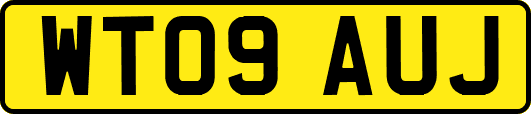 WT09AUJ