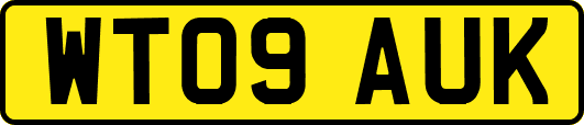 WT09AUK