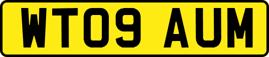 WT09AUM