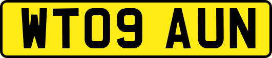 WT09AUN