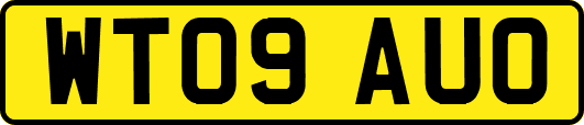 WT09AUO