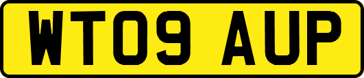 WT09AUP