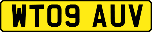 WT09AUV