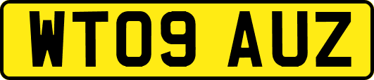 WT09AUZ