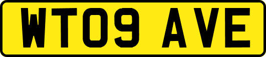 WT09AVE