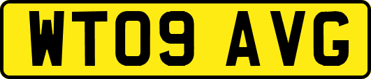 WT09AVG