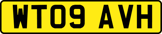 WT09AVH