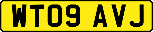 WT09AVJ