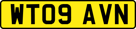 WT09AVN