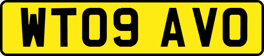 WT09AVO