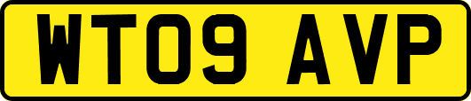 WT09AVP