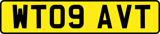 WT09AVT