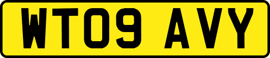 WT09AVY