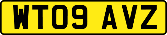 WT09AVZ