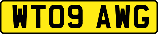 WT09AWG