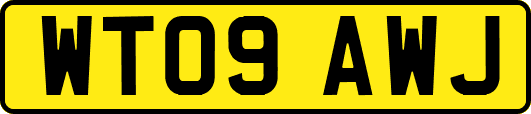 WT09AWJ