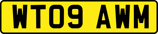 WT09AWM