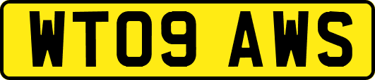 WT09AWS