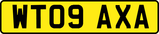 WT09AXA